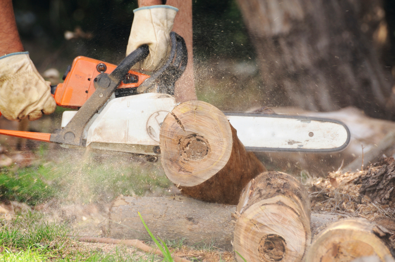 Holz